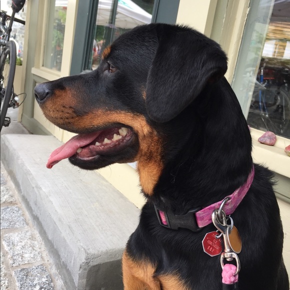 Meet your Posher, Hannah - Picture 8 of 8